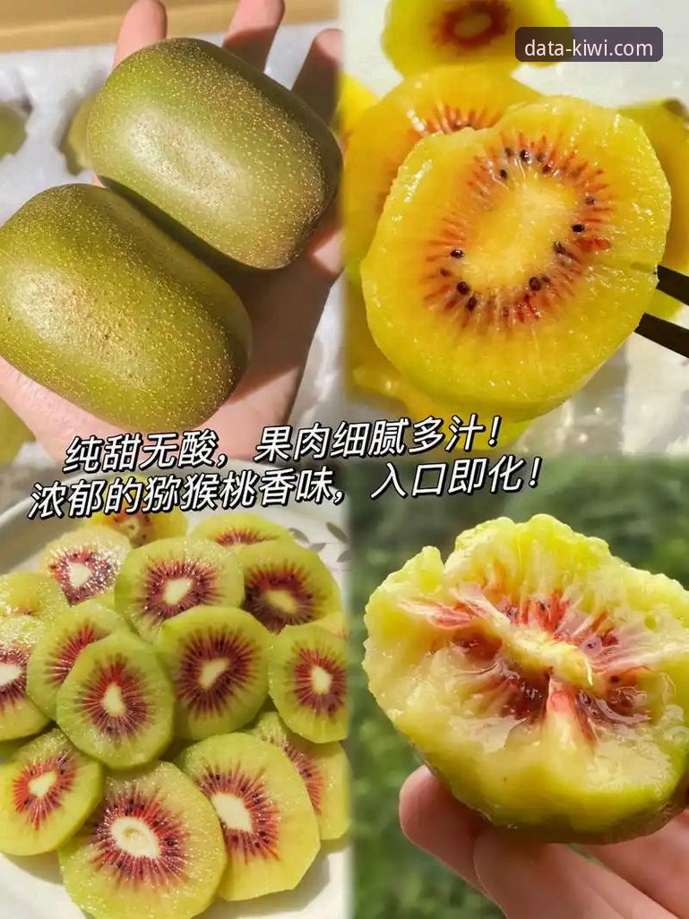 深度揭秘：奇异果竞彩体育背后的赛事大数据真相